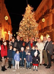 albero